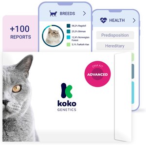 Koko Genetics Advanced Cat DNA Test