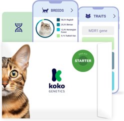 Koko Genetics Starter Cat DNA Test