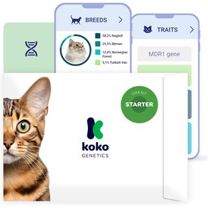 Wisdom Panel Complete Cat DNA Test