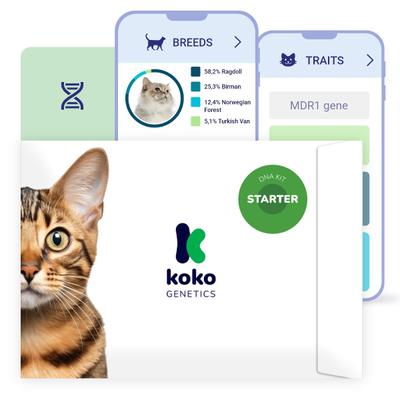 Show full view: Koko Genetics Starter Cat DNA Test slide 1 of 11