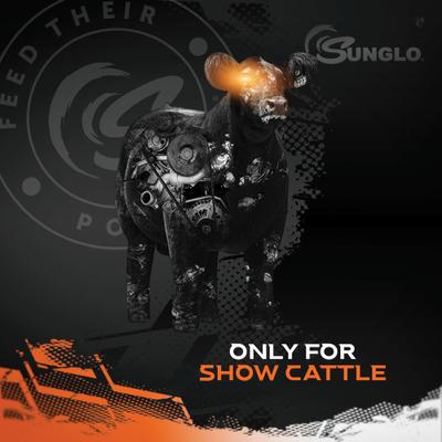 Show full view: Sunglo Show Cattle 12T 12% Protein Textured Cattle Feed, 50-lb bag slide 3 of 5