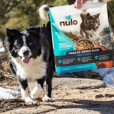 Show full view: Nulo Turkey Recipe with Cranberries Grain-Free Freeze-Dried Raw Dog Food, 8-oz bag slide 6 of 10