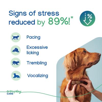 Show full view: Virbac Zenidog Long-Acting Calming Collar for Dogs, Medium/Large: up to 29.5-in neck slide 5 of 11