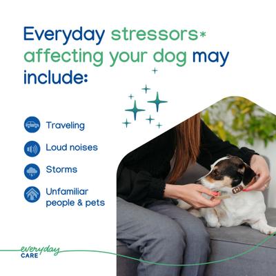 Show full view: Virbac Zenidog Long-Acting Calming Collar for Dogs, Small: up to 18.3-in neck slide 6 of 11