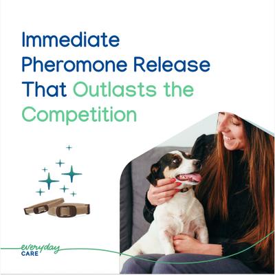 Show full view: Virbac Zenidog Long-Acting Calming Collar for Dogs, Small: up to 18.3-in neck slide 3 of 11