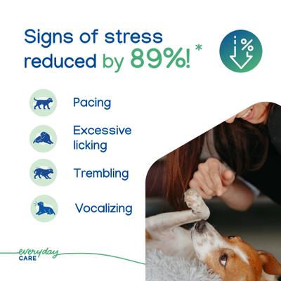 Show full view: Virbac Zenidog Long-Acting Calming Collar for Dogs, Small: up to 18.3-in neck slide 4 of 11