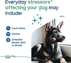 Virbac Zenidog Pheromone Calming Gel Diffuser for Dogs slide 2 of 6