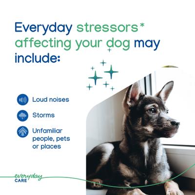 Show full view: Virbac Zenidog Pheromone Calming Gel Diffuser for Dogs slide 6 of 10