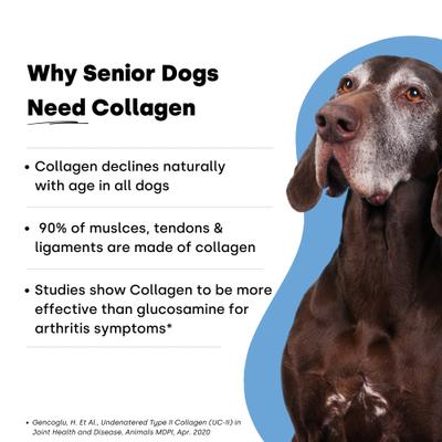 Show full view: Kayode Collagen Puptides Liver Flavored Powder Joint Supplement for Senior Dogs, 90 count jar slide 4 of 11