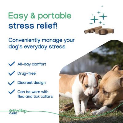 Show full view: Virbac Zenidog Long-Acting Calming Collar for Dogs, Medium/Large: up to 29.5-in neck slide 8 of 11