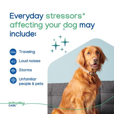 Show full view: Virbac Zenidog Long-Acting Calming Collar for Dogs, Medium/Large: up to 29.5-in neck slide 7 of 11