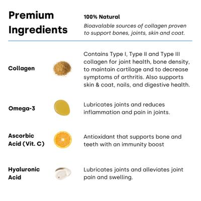 Show full view: Kayode Collagen Puptides Liver Flavored Powder Joint Supplement for Senior Dogs, 90 count jar slide 7 of 11