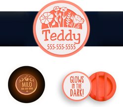 Besties Glow in the Dark Superbloom Slide-On AirTag Holder Jingle-Free Silicone Personalized Dog & Cat ID Tag, Glow Orange