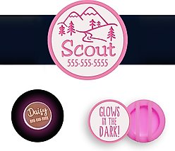 Besties Glow in the Dark Mountain Adventure Slide-On AirTag Holder Jingle-Free Silicone Personalized Dog & Cat ID Tag, Glow Pink