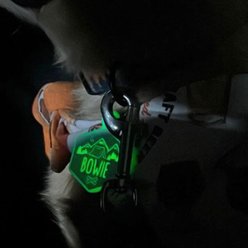 Besties Glow in the Dark Woodland Jingle-Free Silicone Personalized Dog ID Tag, Glow Purple slide 2 of 8