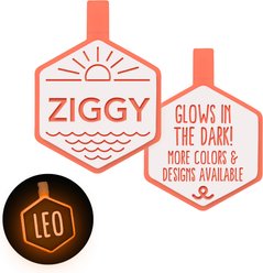 Besties Glow in the Dark Salt & Sun Jingle-Free Silicone Personalized Dog ID Tag, Glow Orange