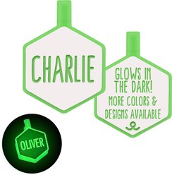 Besties Glow in the Dark Jingle-Free Silicone Personalized Dog ID Tag, Glow Green