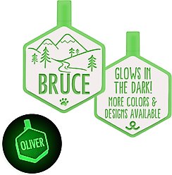 Besties Glow in the Dark Mountain Adventure Jingle-Free Silicone Personalized Dog ID Tag, Glow Green