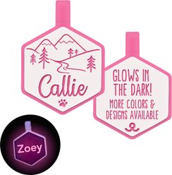 Besties Glow in the Dark Mountain Adventure Jingle-Free Silicone Personalized Dog ID Tag, Glow Pink
