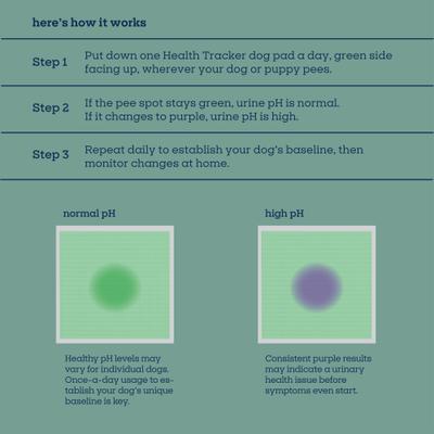 Show full view: Pet Life Unlimited Health Tracker Dog Pee Pads, Large: 22 x 22-in, Unscented, 10 count slide 8 of 11