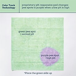 Pet Life Unlimited Health Tracker Dog Pee Pads, Large: 22 x 22-in, Unscented, 2 count slide 2 of 9
