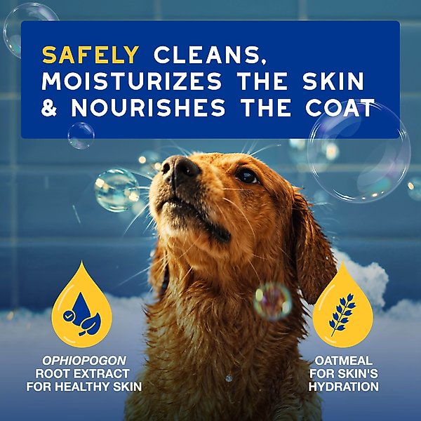 Show full view: Douxo Skin & Coat SPA UltraSafe Oatmeal Dog Shampoo, 16-fl oz bottle slide 3 of 10