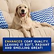 Show in main carousel: Douxo Skin & Coat SPA UltraSafe Oatmeal Dog Shampoo, 16-fl oz bottle slide 8 of 10