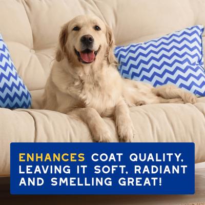 Show full view: Douxo Skin & Coat SPA UltraSafe Oatmeal Dog Shampoo, 16-fl oz bottle slide 9 of 11