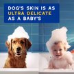 Show in main carousel: Douxo Skin & Coat SPA UltraSafe Oatmeal Dog Shampoo, 16-fl oz bottle slide 4 of 10