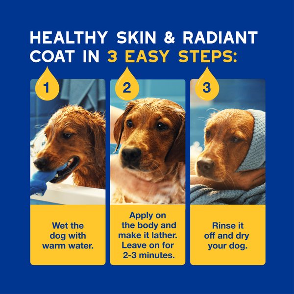 Show full view: Douxo Skin & Coat SPA UltraSafe Oatmeal Dog Shampoo, 16-fl oz bottle slide 7 of 10