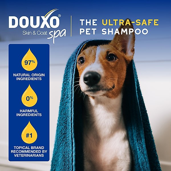 Show full view: Douxo Skin & Coat SPA UltraSafe Oatmeal Dog Shampoo, 16-fl oz bottle slide 5 of 10