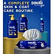 Show in main carousel: Douxo Skin & Coat SPA UltraSafe Oatmeal Dog Shampoo, 16-fl oz bottle slide 9 of 10