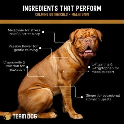 Show full view: Team Dog Soft Chew Calming Supplement for Dogs, 120 count slide 5 of 8