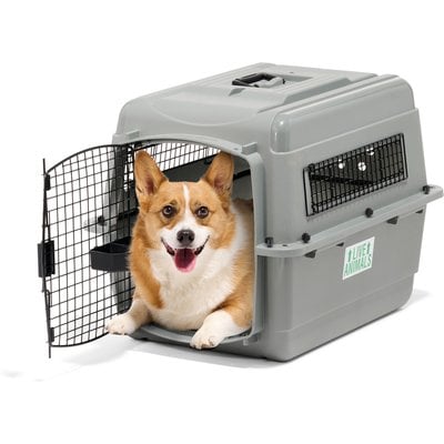 Petmate Petmate Sky Dog & Cat Kennel, Gray, 28-in, 25-30-lbs