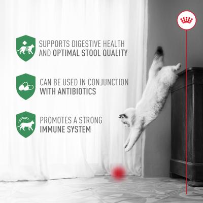 Show full view: Royal Canin Probiotics Digestive & Immune Health Powder Supplement for Cats, 30 count slide 5 of 12