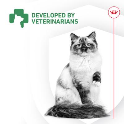 Show full view: Royal Canin Probiotics Digestive & Immune Health Powder Supplement for Cats, 30 count slide 9 of 12