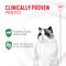 Show in main carousel: Royal Canin Probiotics Digestive & Immune Health Powder Supplement for Cats, 30 count slide 3 of 12