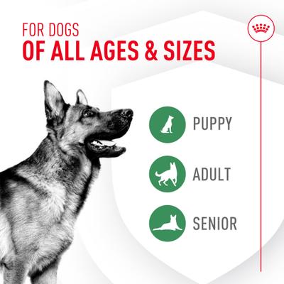 Show full view: Royal Canin Probiotics Digestive & Immune Health Powder Supplement for Dogs, 30 count slide 7 of 12