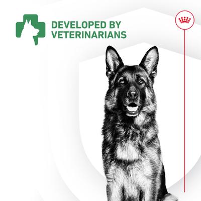 Show full view: Royal Canin Probiotics Digestive & Immune Health Powder Supplement for Dogs, 30 count slide 9 of 12