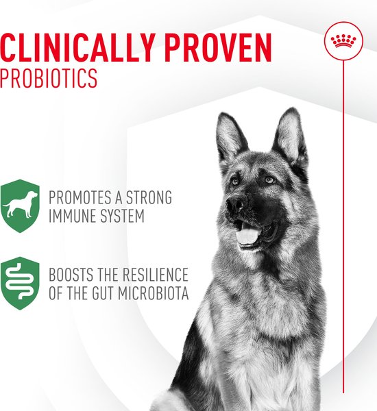 Royal Canin Probiotics Digestive & Immune Health Powder Supplement for Dogs