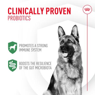 Show full view: Royal Canin Probiotics Digestive & Immune Health Powder Supplement for Dogs, 30 count slide 3 of 12
