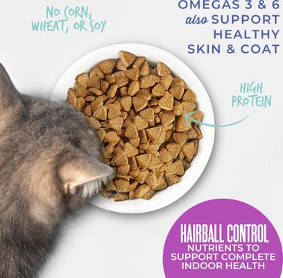 Show full view: Tiki Cat Born Carnivore Hairball Control Chicken Grain-Free Dry Cat Food, 3-lb bag slide 6 of 8