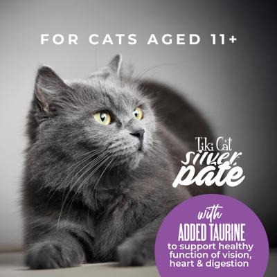 Show full view: Tiki Cat Silver Chicken, Salmon & Chicken Liver Recipe Grain-Free Pate in Broth Wet Cat Food, 2.4-oz can, case of 12 slide 8 of 10