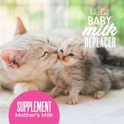 Show full view: Tiki Cat Baby Milk Replacer Goat Milk Wet Kitten Food, 6-oz pouch, case of 6 slide 5 of 11