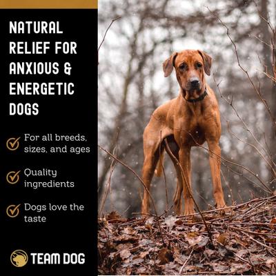 Show full view: Team Dog Soft Chew Calming Supplement for Dogs, 120 count slide 6 of 8