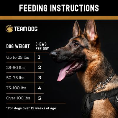 Show full view: Team Dog Soft Chew Calming Supplement for Dogs, 120 count slide 7 of 8