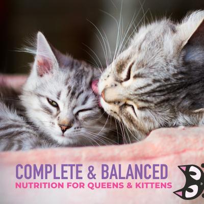 Show full view: Tiki Cat Baby Weaning Puree Chicken Grain-Free Pate Wet Cat Food, 6-oz pouch, case of 6 slide 5 of 11