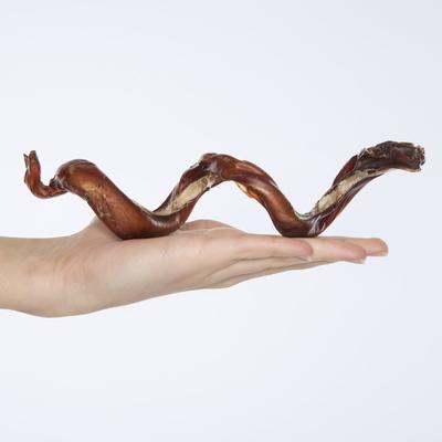 Show full view: Bones & Chews Made in USA Curly Bully Stick 6-9" Dog Chew Treats, 3 count slide 5 of 10