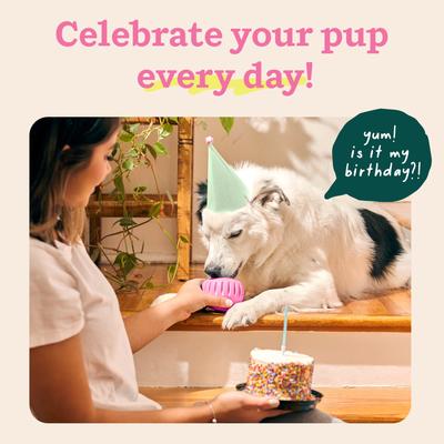 Show full view: Woof Party Pupsicle Treat Dispensing Dog Toy, Party Pink, Large slide 6 of 9
