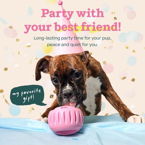 Woof Party Pupsicle Treat Dispensing Dog Toy
